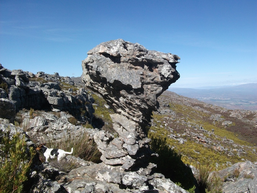 Weathered Rock on top of our mountain