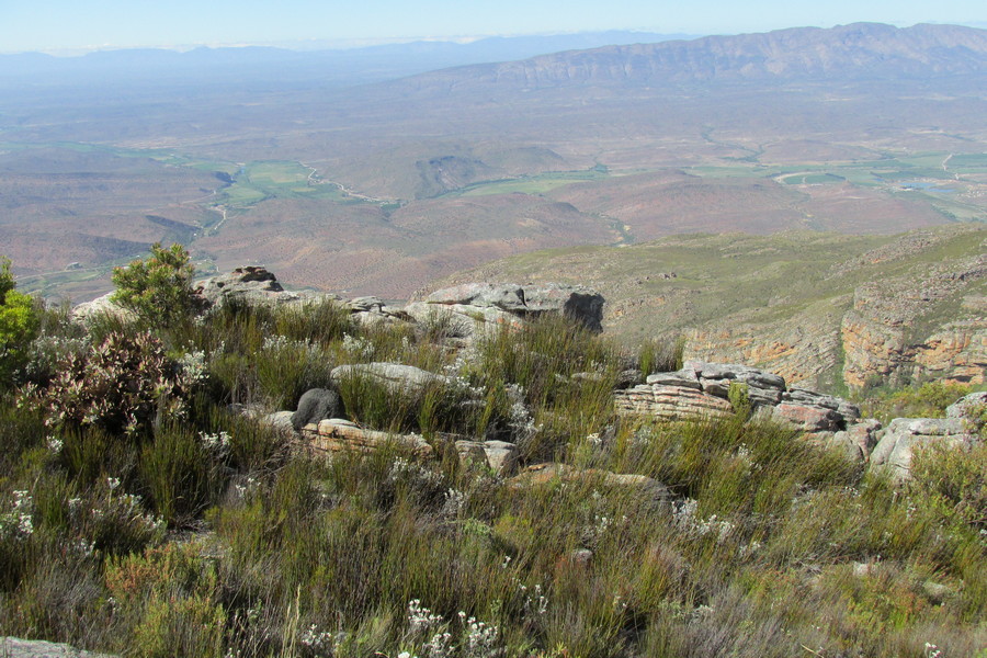 from the top