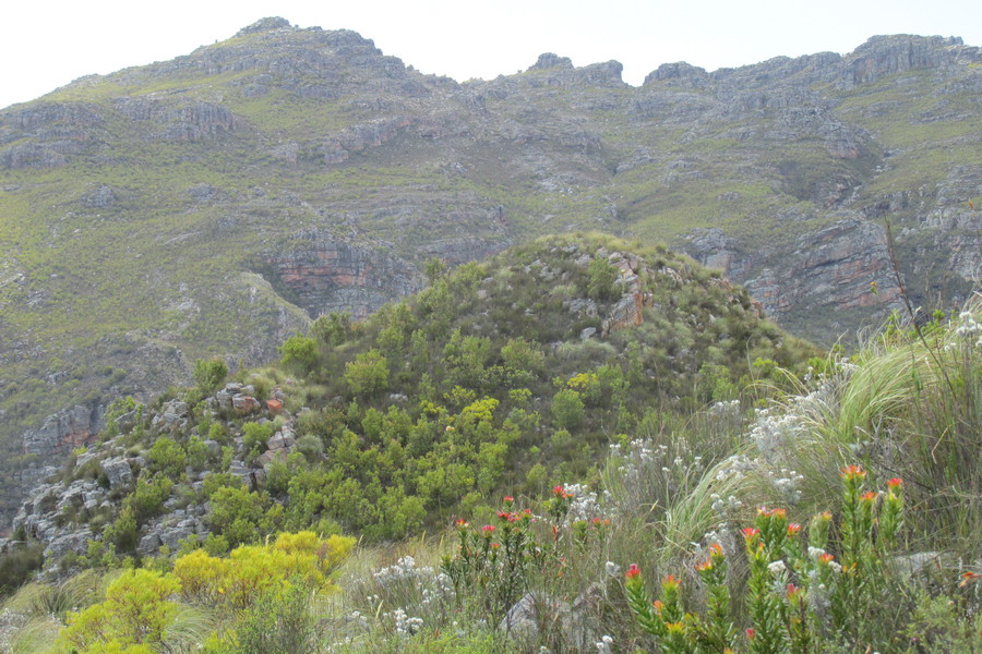 mountain 2