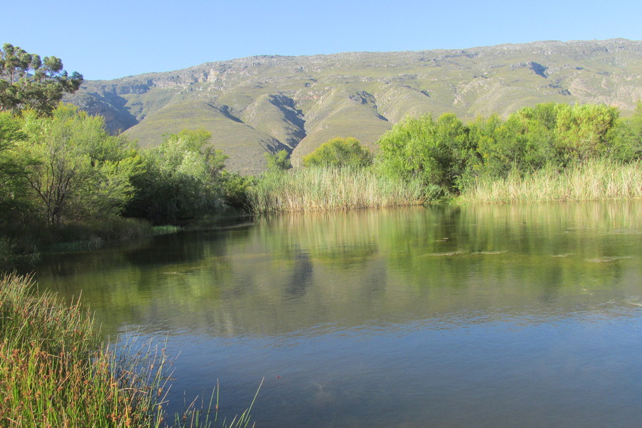 school dam