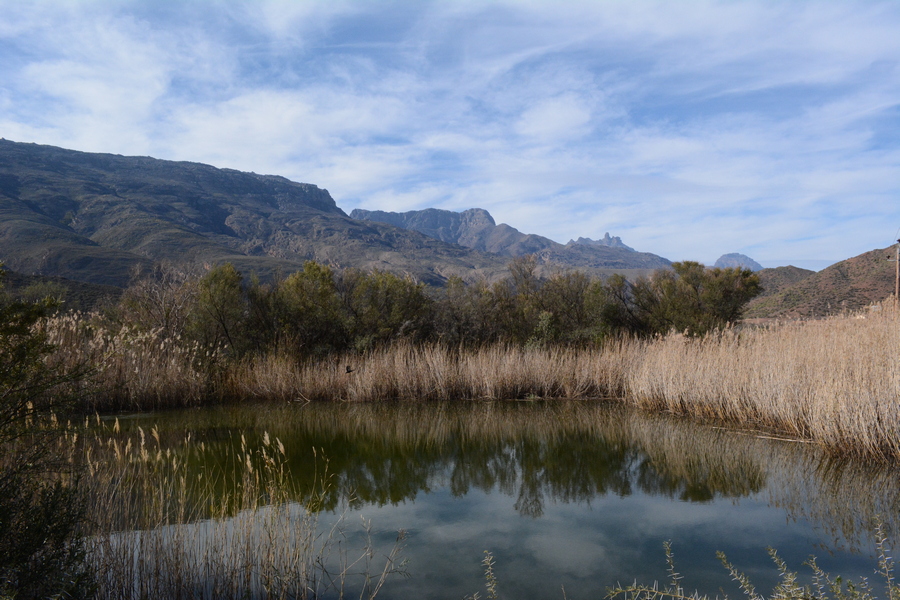 view over school dam