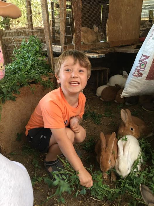 Feeding Bunnies