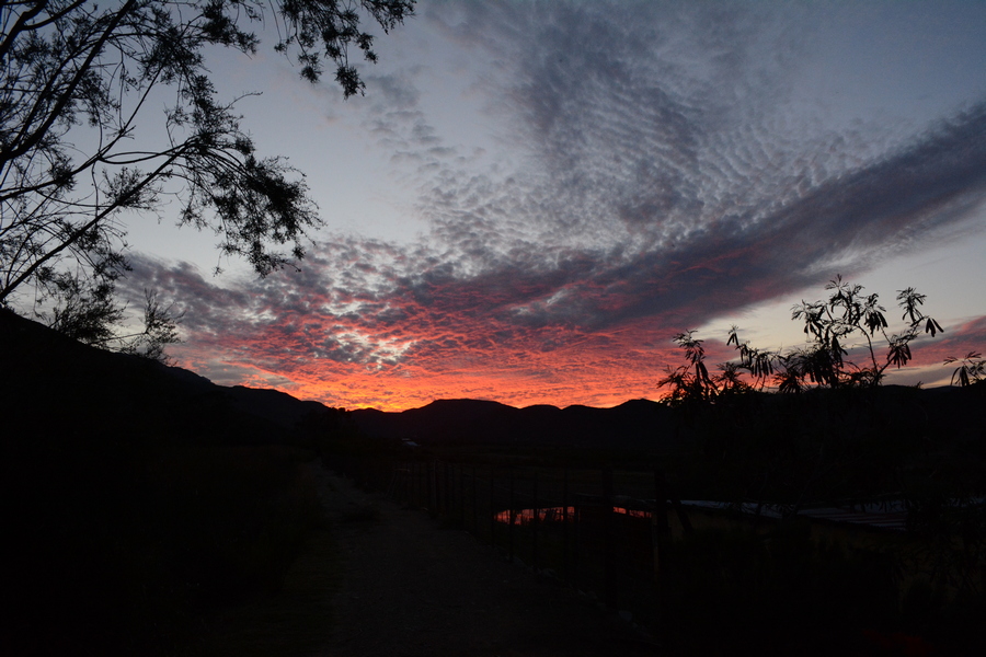 sunset 1