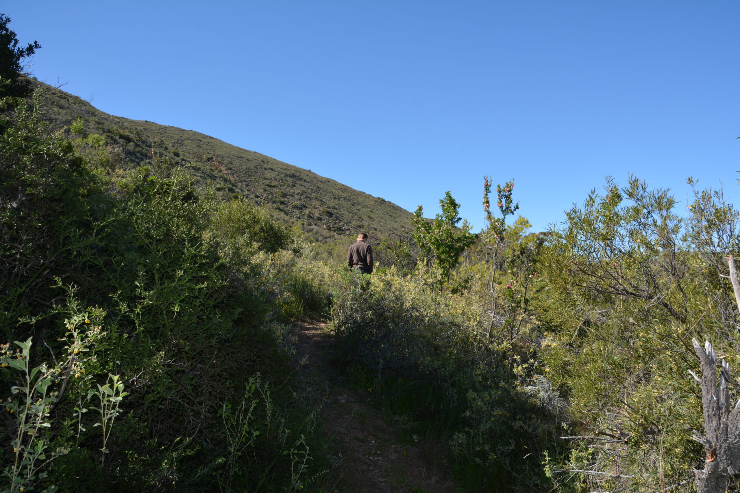 Trail