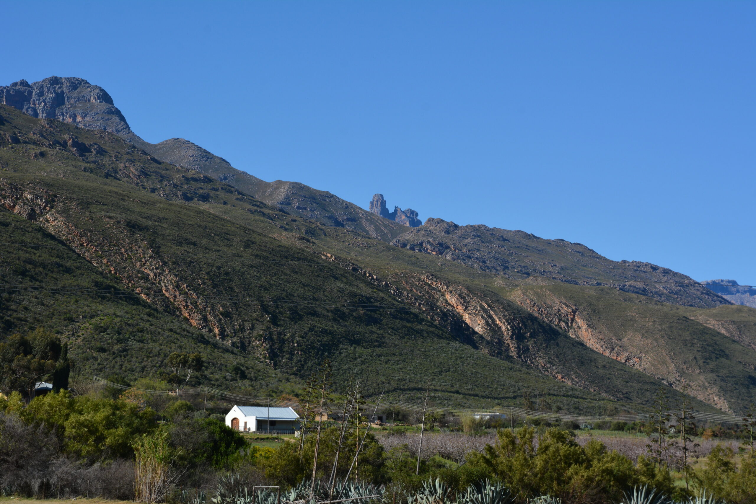Mountain