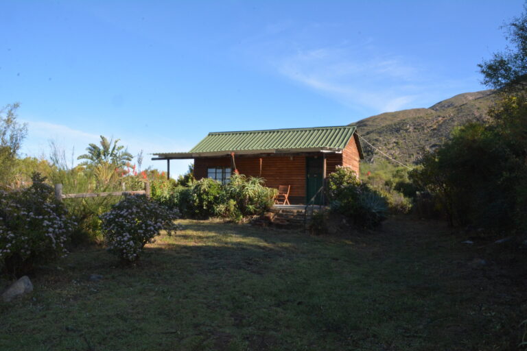 Aloe Exterior 2000x1333