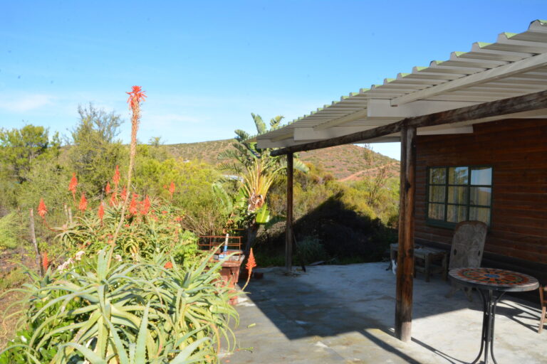Aloe Stoep A 2000x1333
