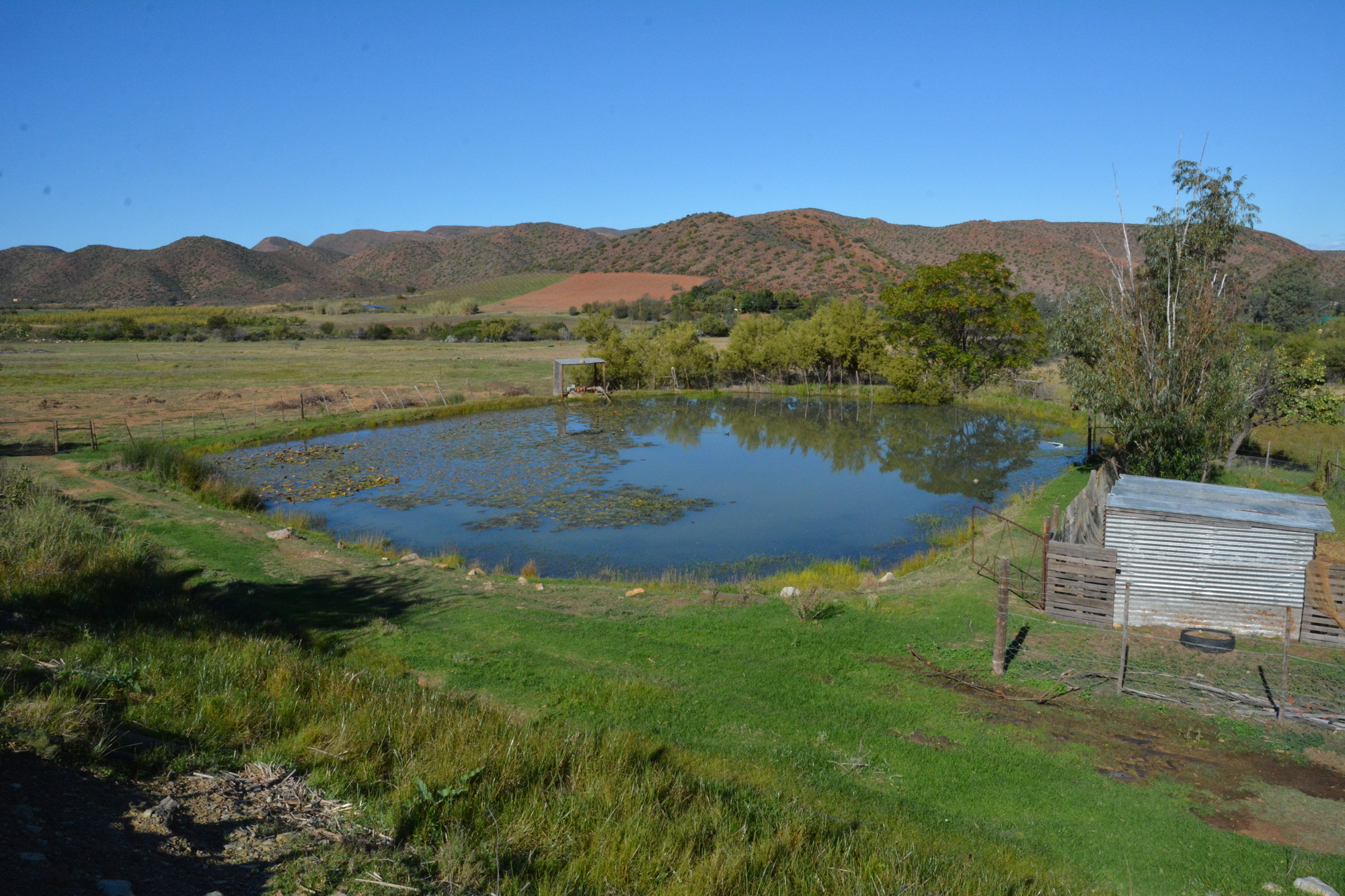 Duck Dam 2000x1333