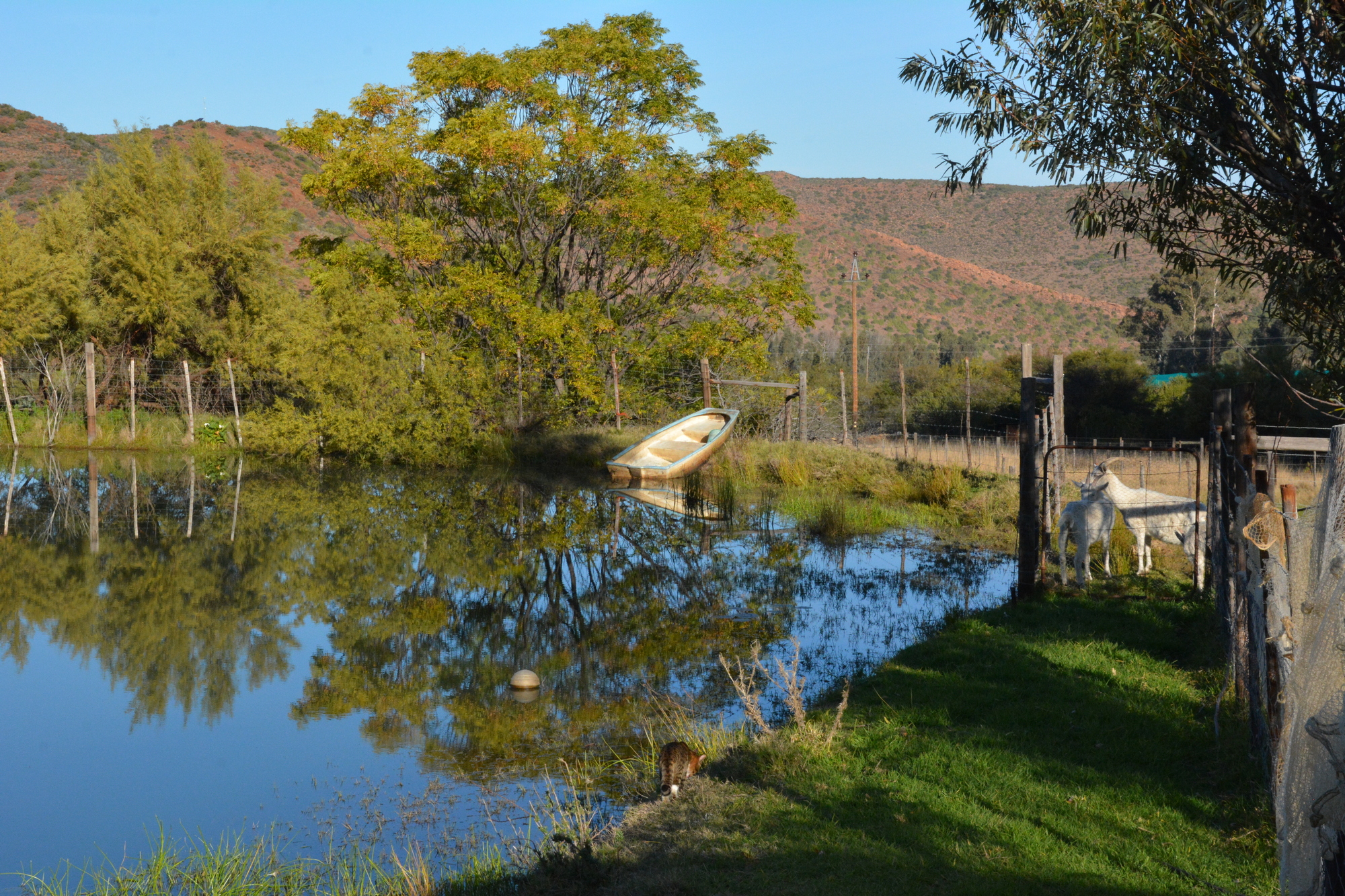 Duck Dam A 2000x1333