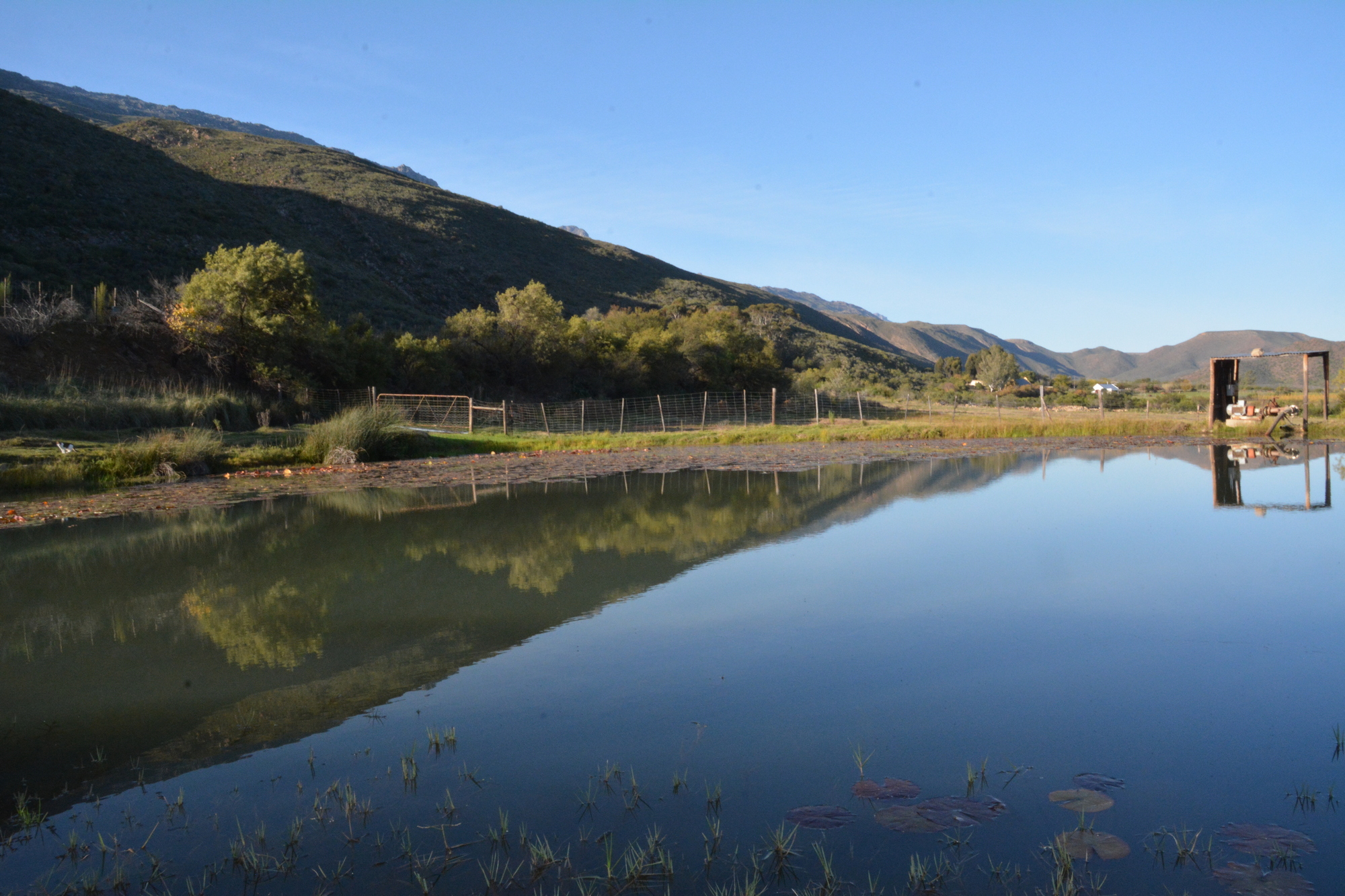 Duck Dam B 2000x1333