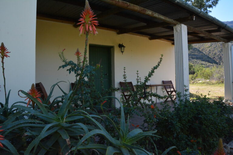 Sunflower Stoep 2000x1333