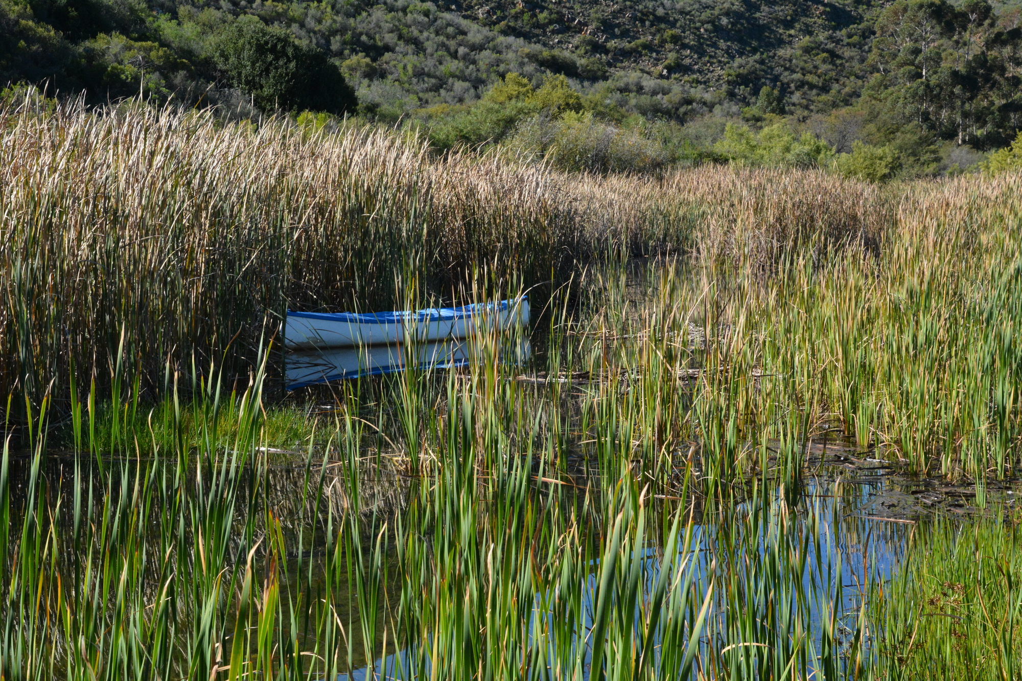 Top Dam 2000x1333