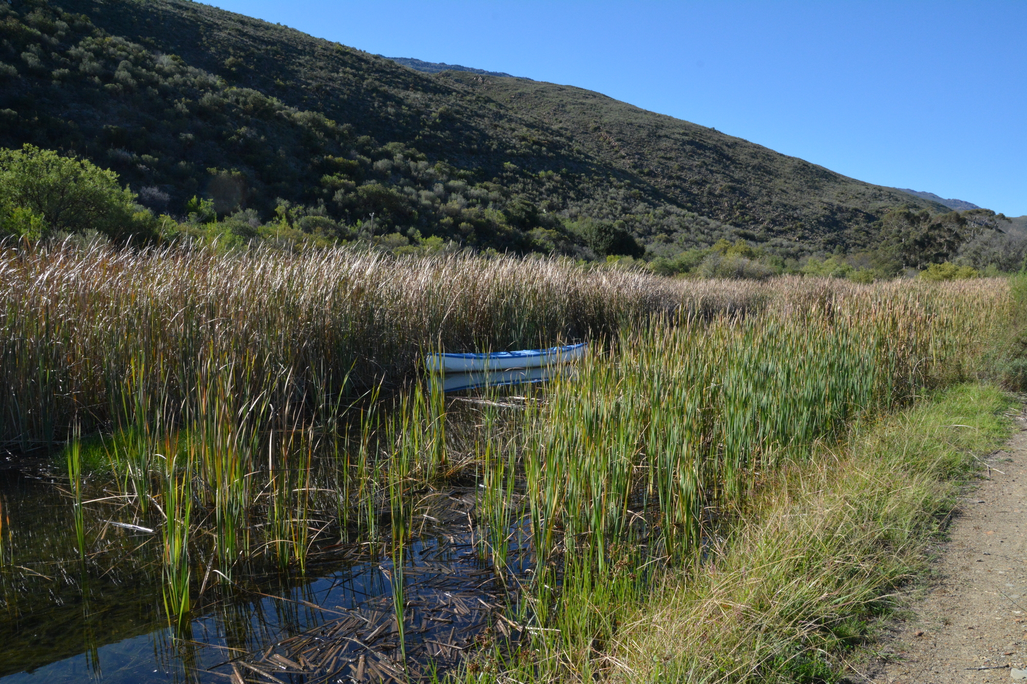 Top Dam C 2000x1333